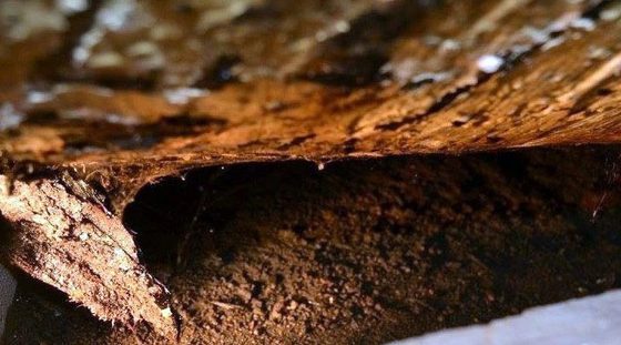 Gros plan d'une paroi corrodée et de terre souillée