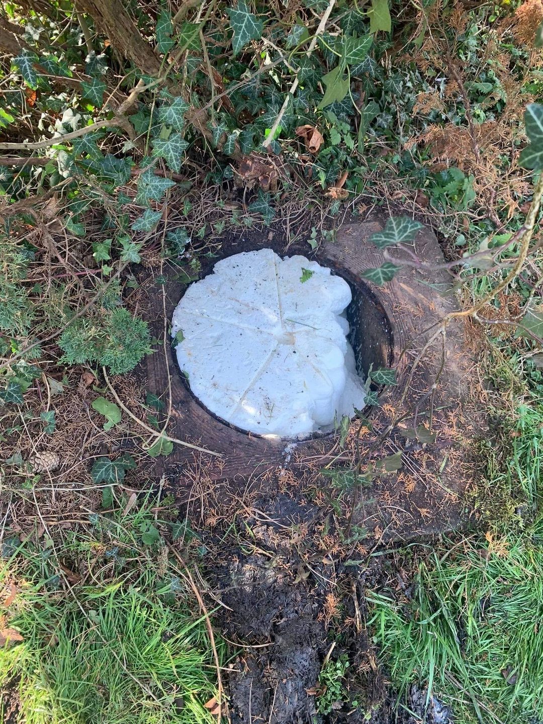 Taque de citerne affleurant dans l’herbe d’un jardin